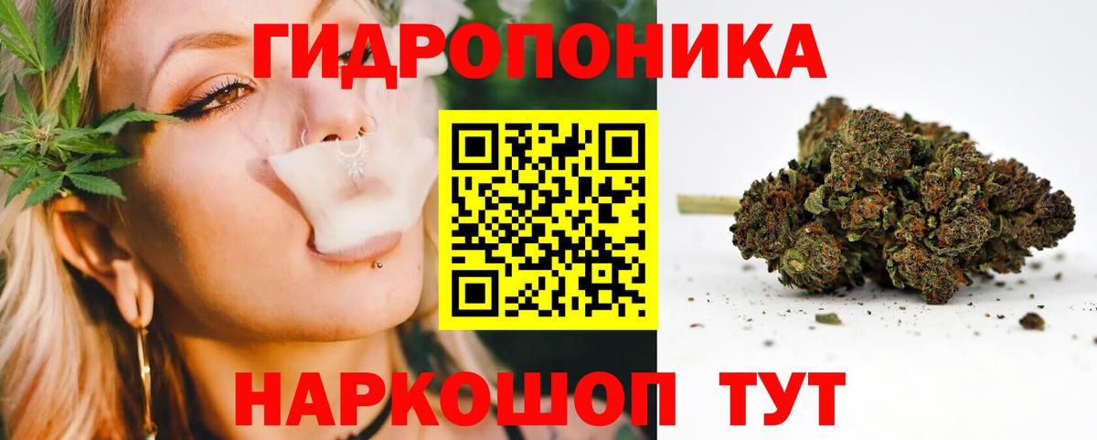 Конопля план Балашиха